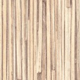 Тростник Тростник