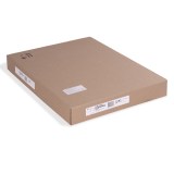 gud-lakk/bp-00000485-e8881f2db9e5