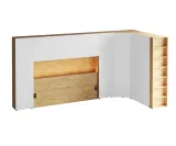 item-0b5ef76dcc/891701-66c0c8be458c