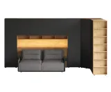 item-0b5ef76dcc/903052-24b500dd3db2