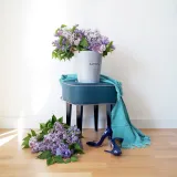 ogogo-obstanovocka/340361-ae51c9586254