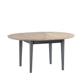 Стол Сканди/Форест D110/145 серый 7046/антик -рис.3 Стол Сканди/Форест D110/145 серый 7046/антик -рис.3